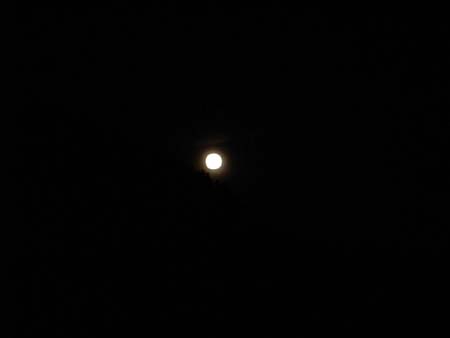 DSC00087