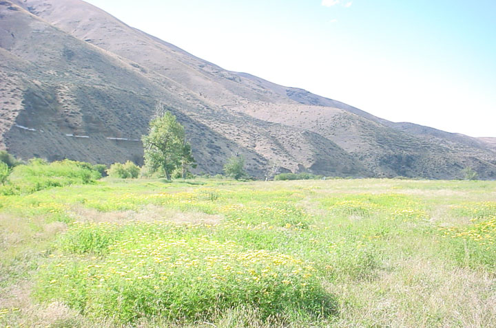 DSC05791