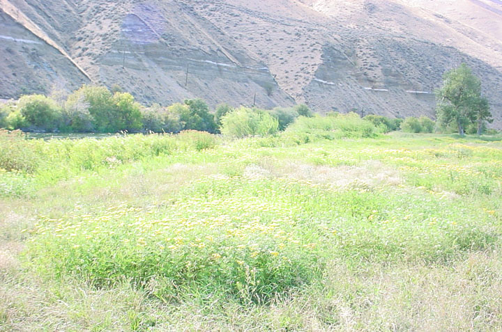 DSC05793