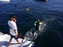 Diving at Marietas 