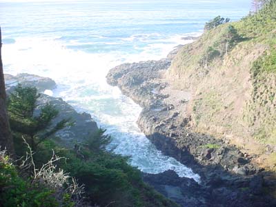 DSC00677