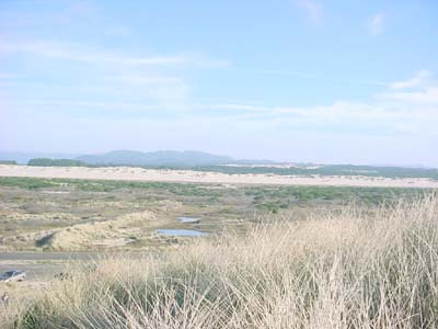 DSC00729