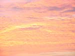 DSC00716